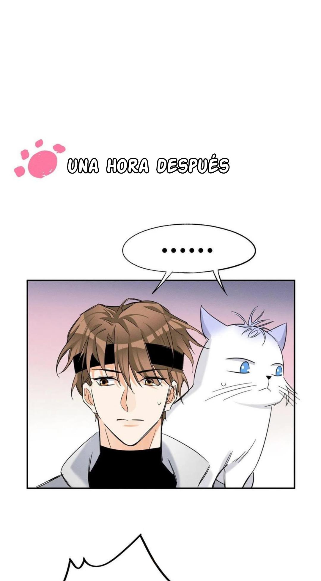 Tengo que trabajar duro para ser un gato hoy! - capitulo 42 manhwa