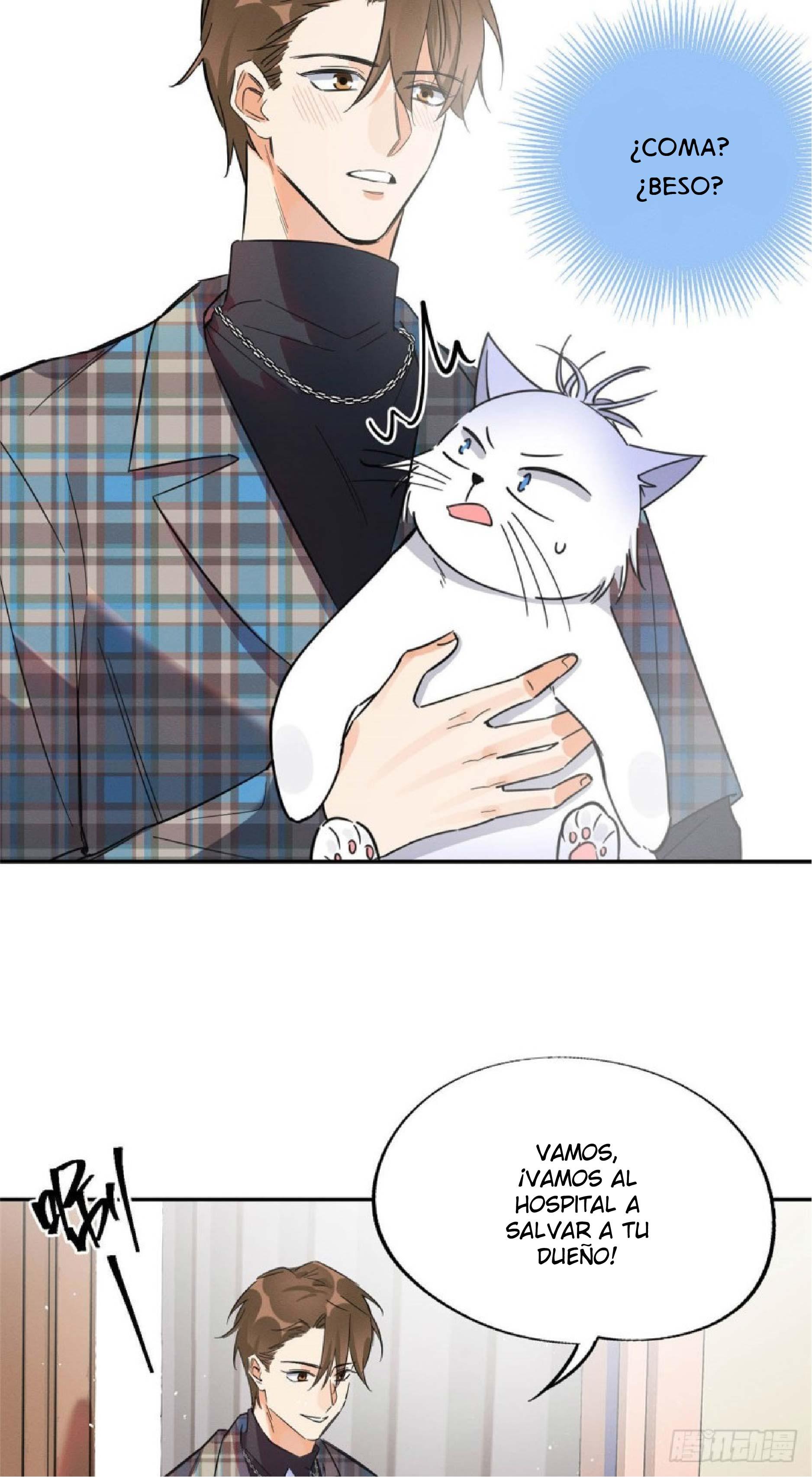 Tengo que trabajar duro para ser un gato hoy! - capitulo 22 manhwa