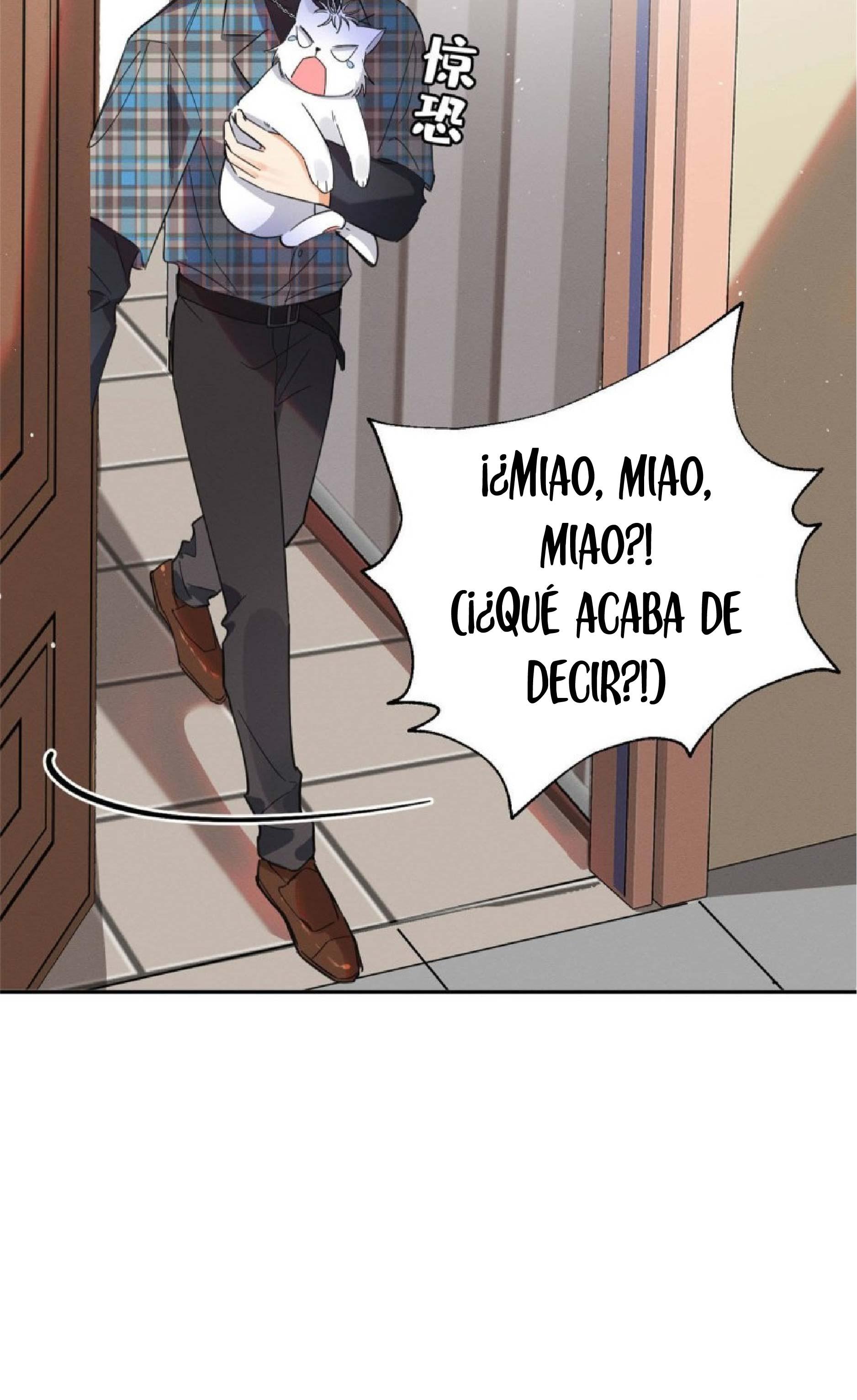 Tengo que trabajar duro para ser un gato hoy! - capitulo 22 manhwa