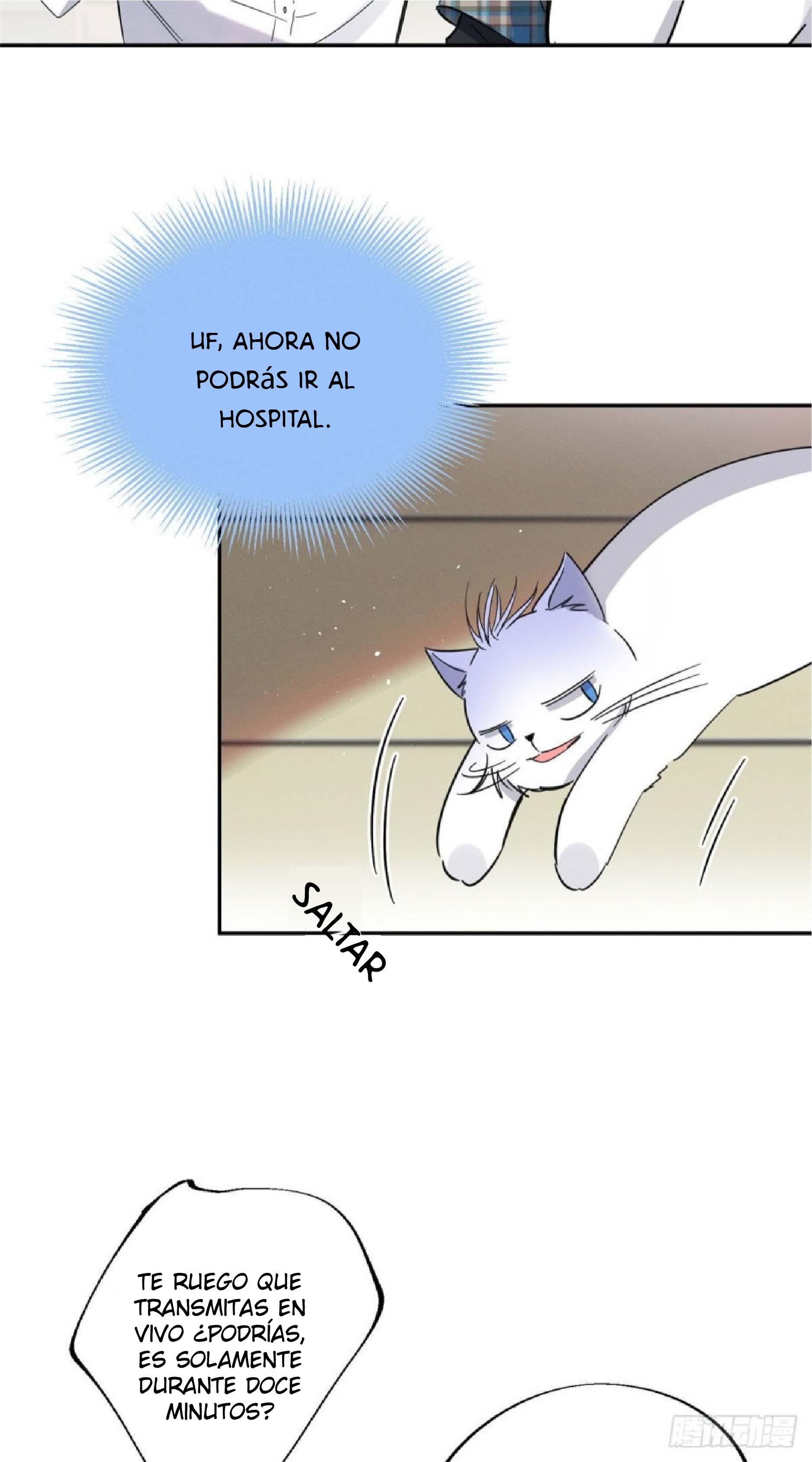 Tengo que trabajar duro para ser un gato hoy! - capitulo 22 manhwa
