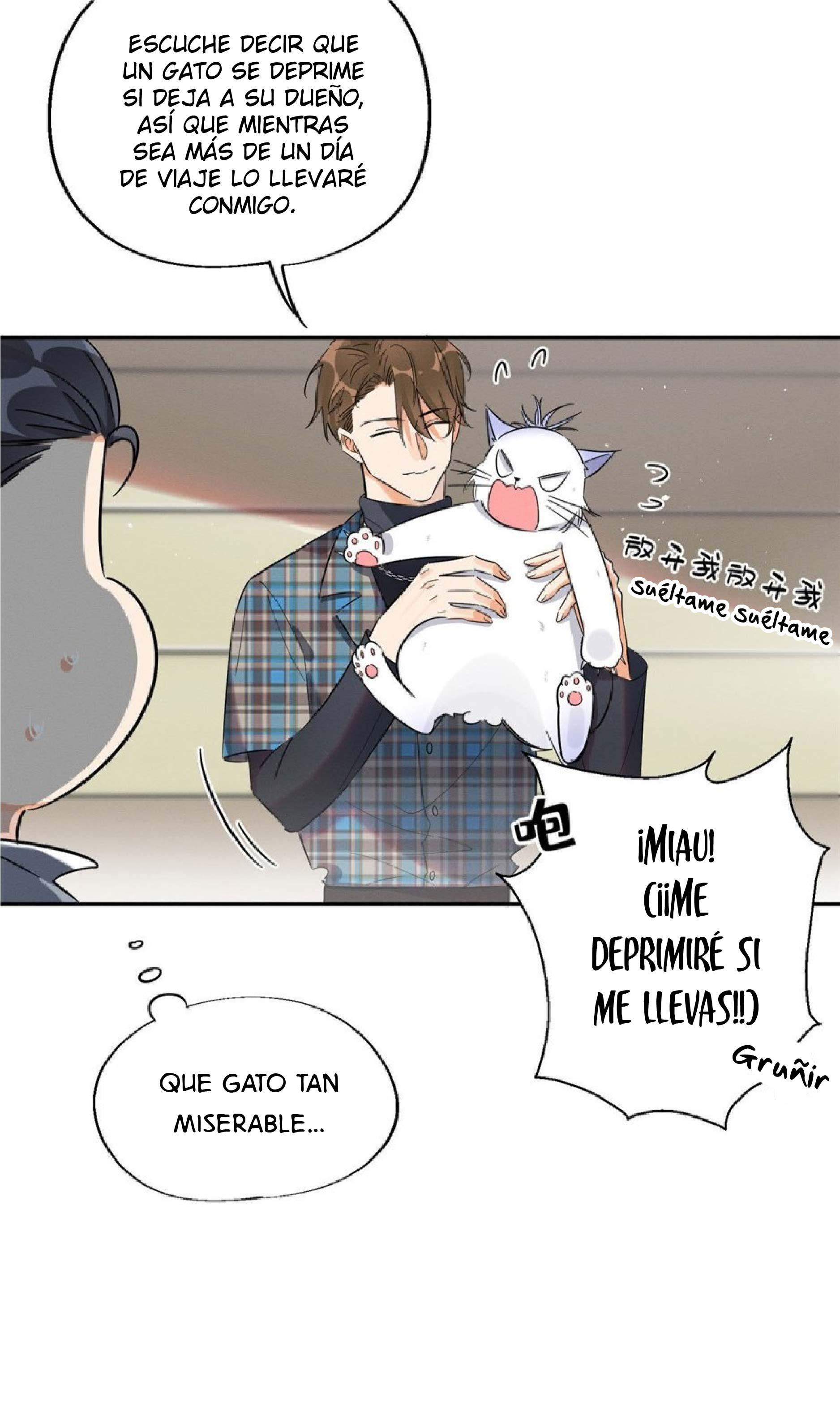 Tengo que trabajar duro para ser un gato hoy! - capitulo 22 manhwa
