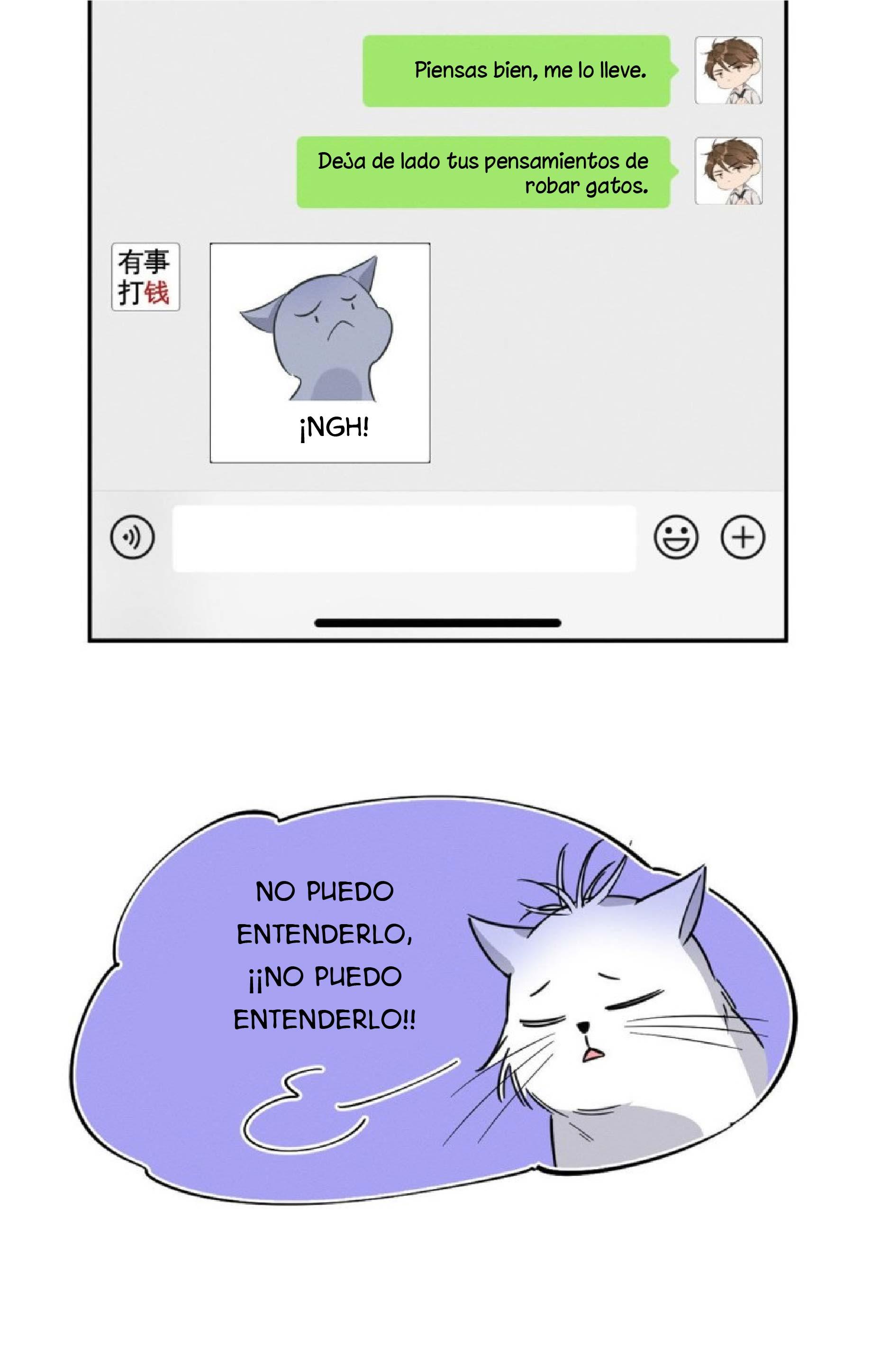 Tengo que trabajar duro para ser un gato hoy! - capitulo 22 manhwa