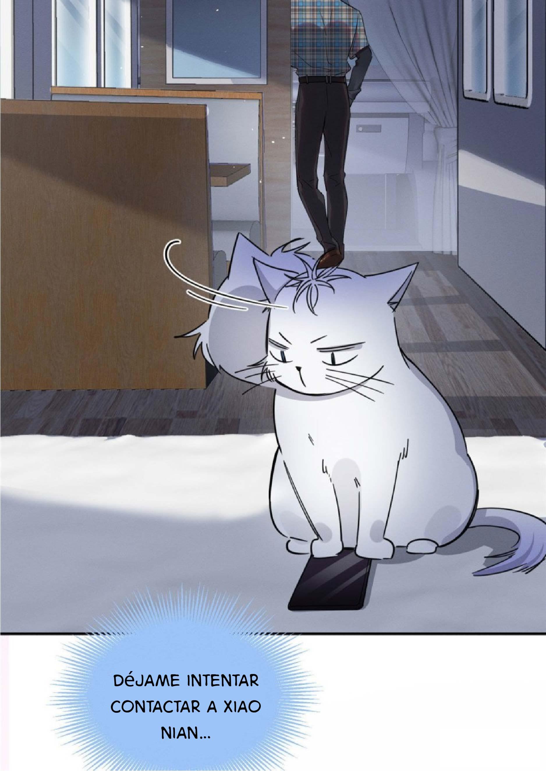 Tengo que trabajar duro para ser un gato hoy! - capitulo 22 manhwa