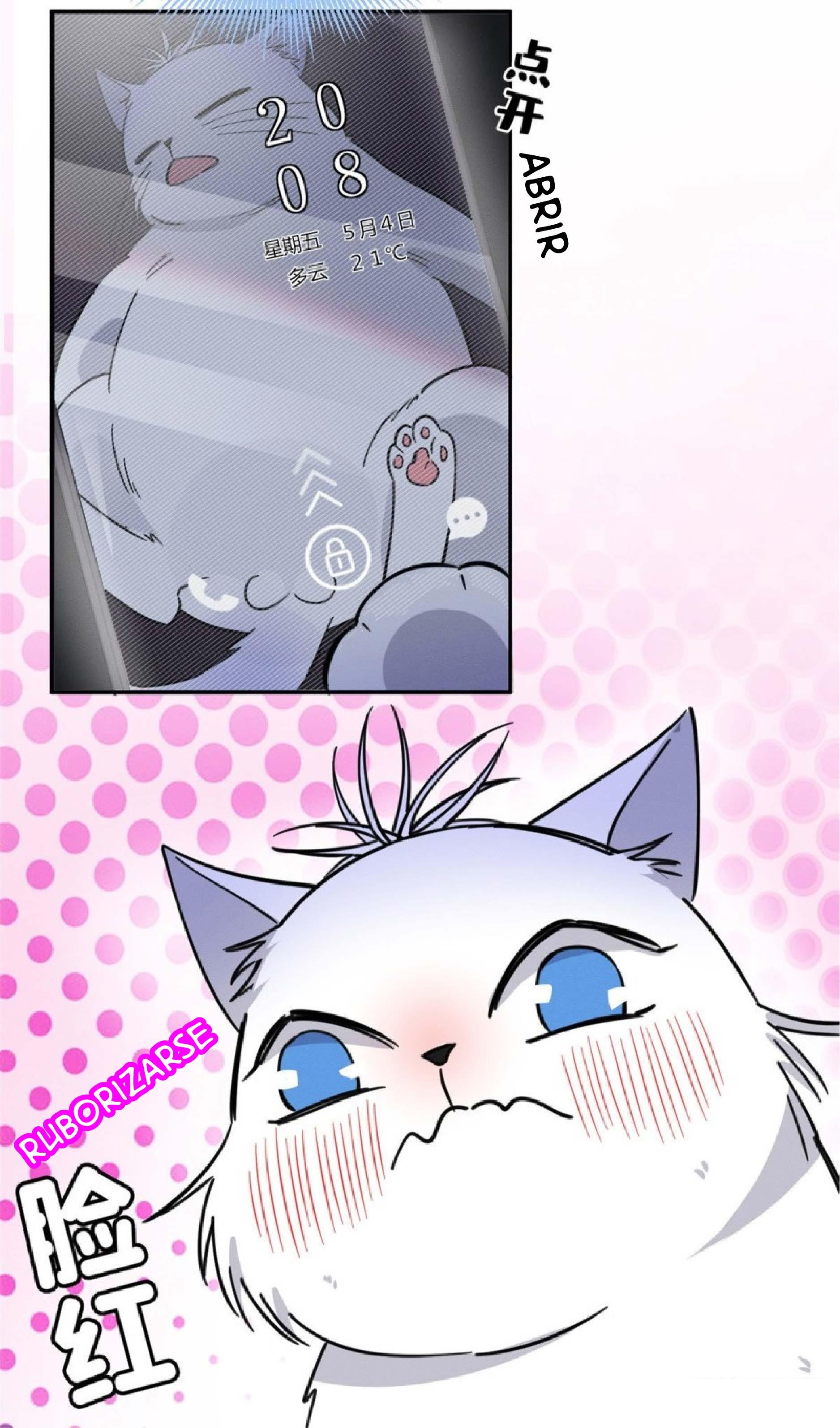Tengo que trabajar duro para ser un gato hoy! - capitulo 22 manhwa