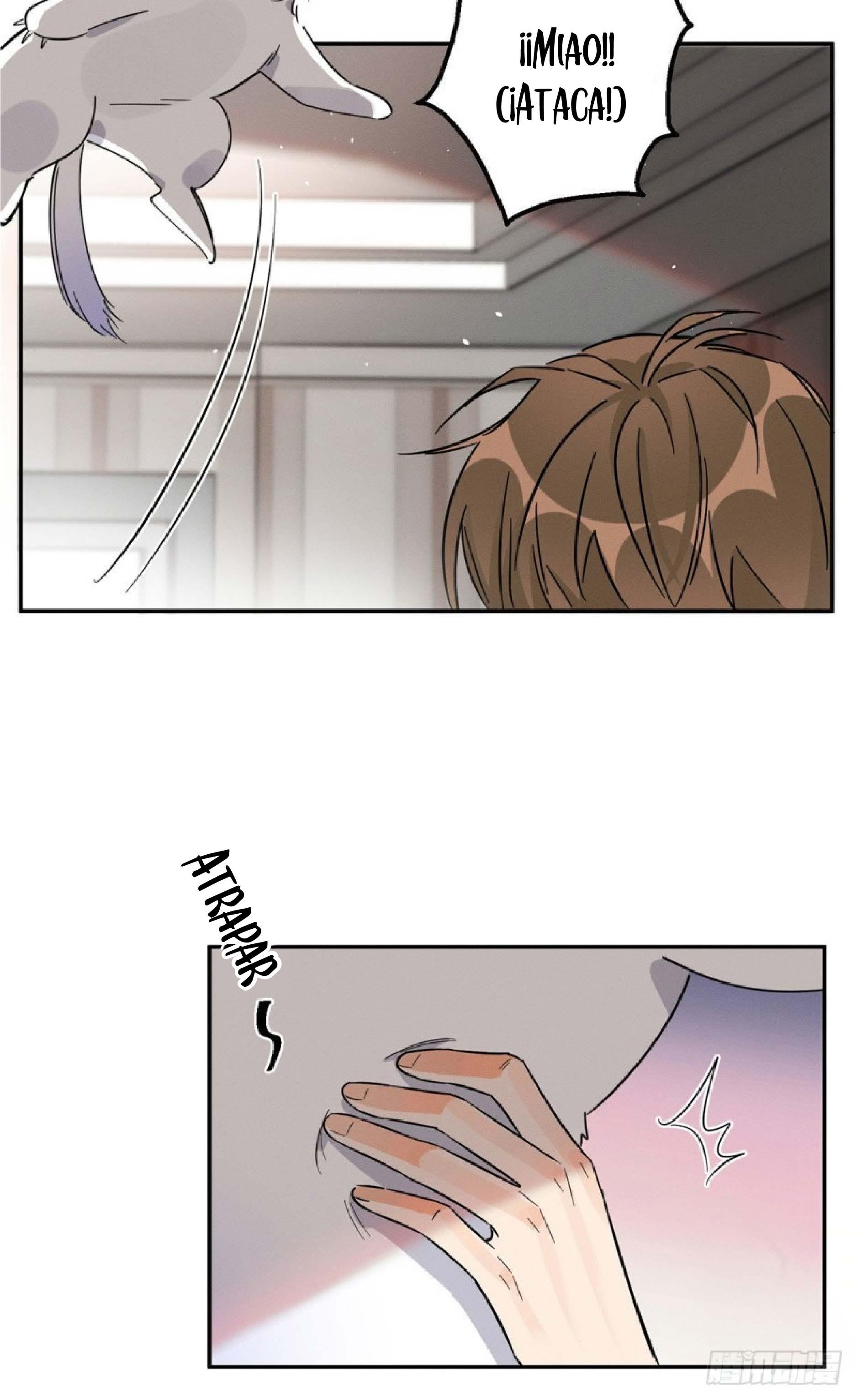 Tengo que trabajar duro para ser un gato hoy! - capitulo 22 manhwa