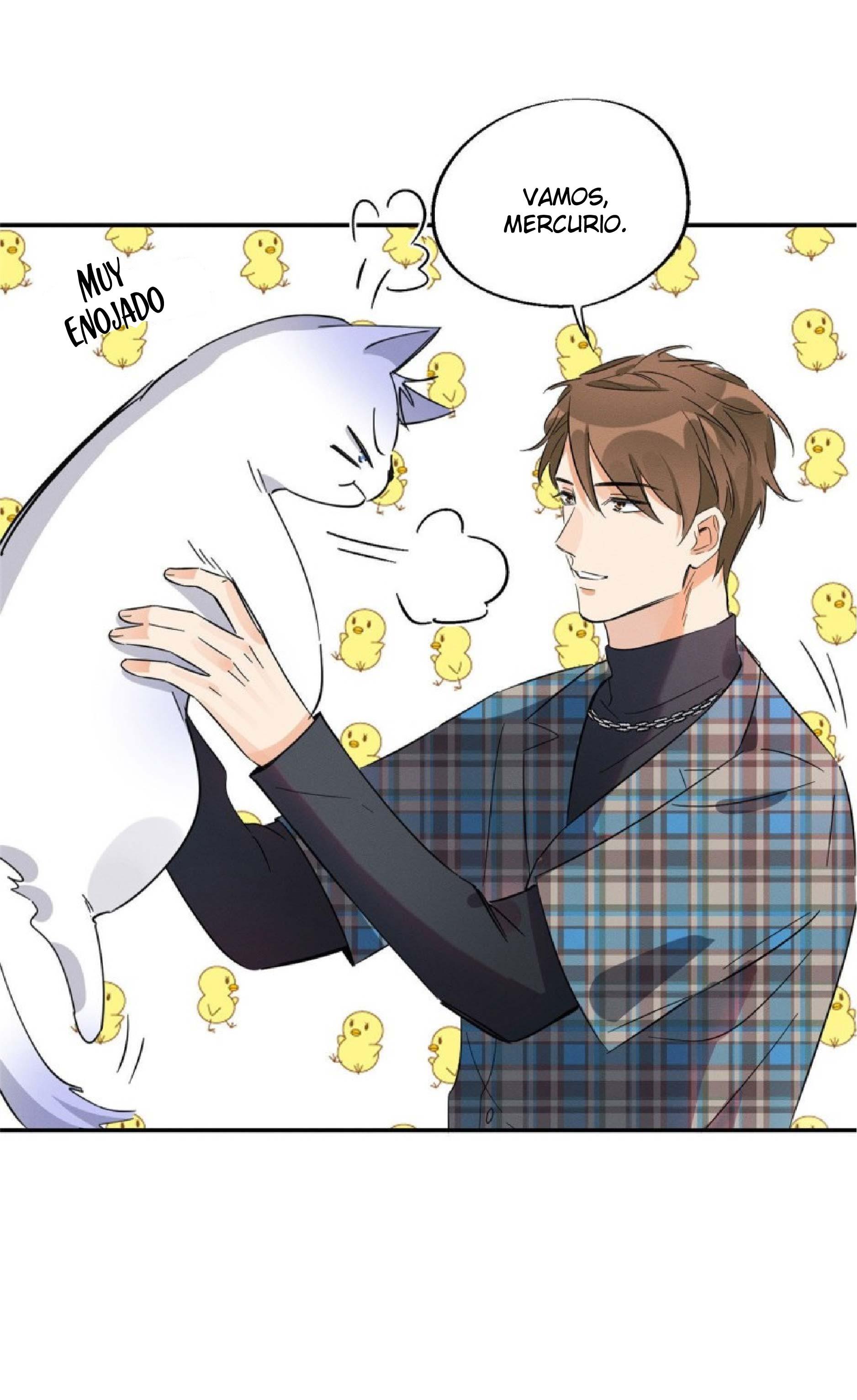 Tengo que trabajar duro para ser un gato hoy! - capitulo 22 manhwa