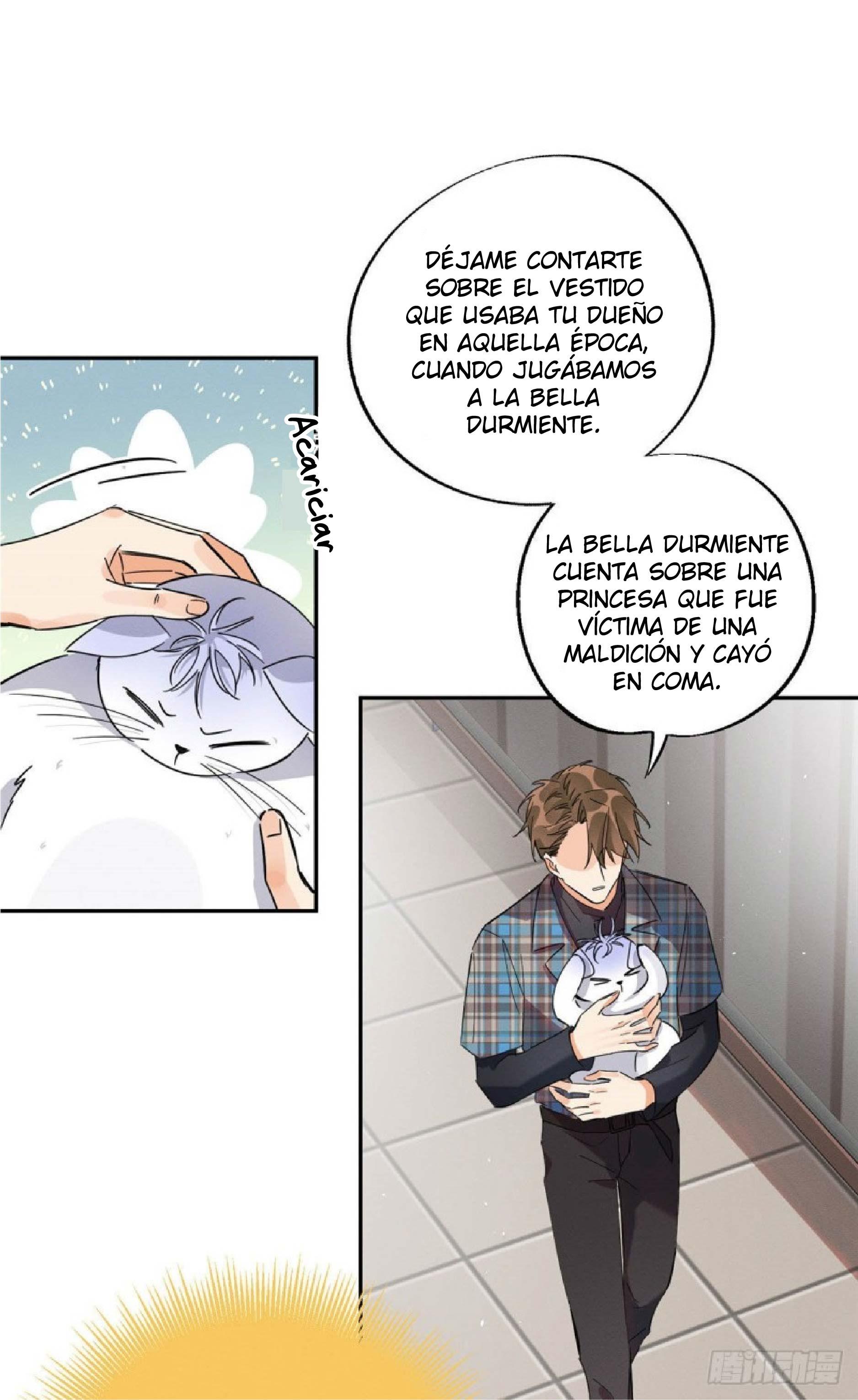 Tengo que trabajar duro para ser un gato hoy! - capitulo 22 manhwa