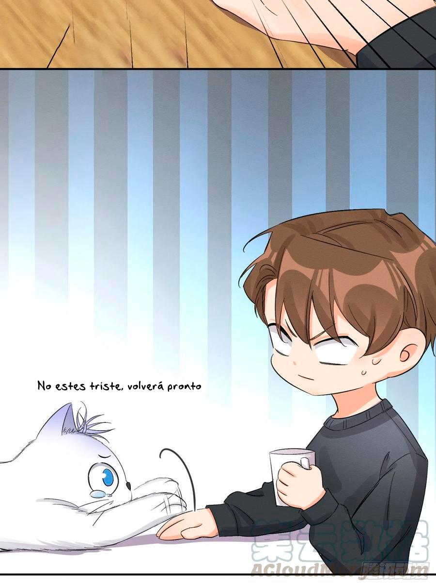 Tengo que trabajar duro para ser un gato hoy! - capitulo 8 manhwa