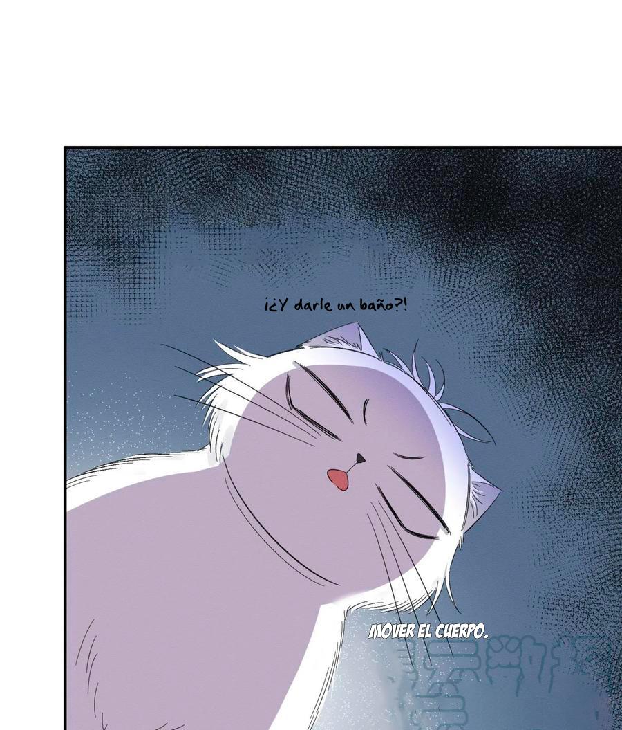Tengo que trabajar duro para ser un gato hoy! - capitulo 8 manhwa