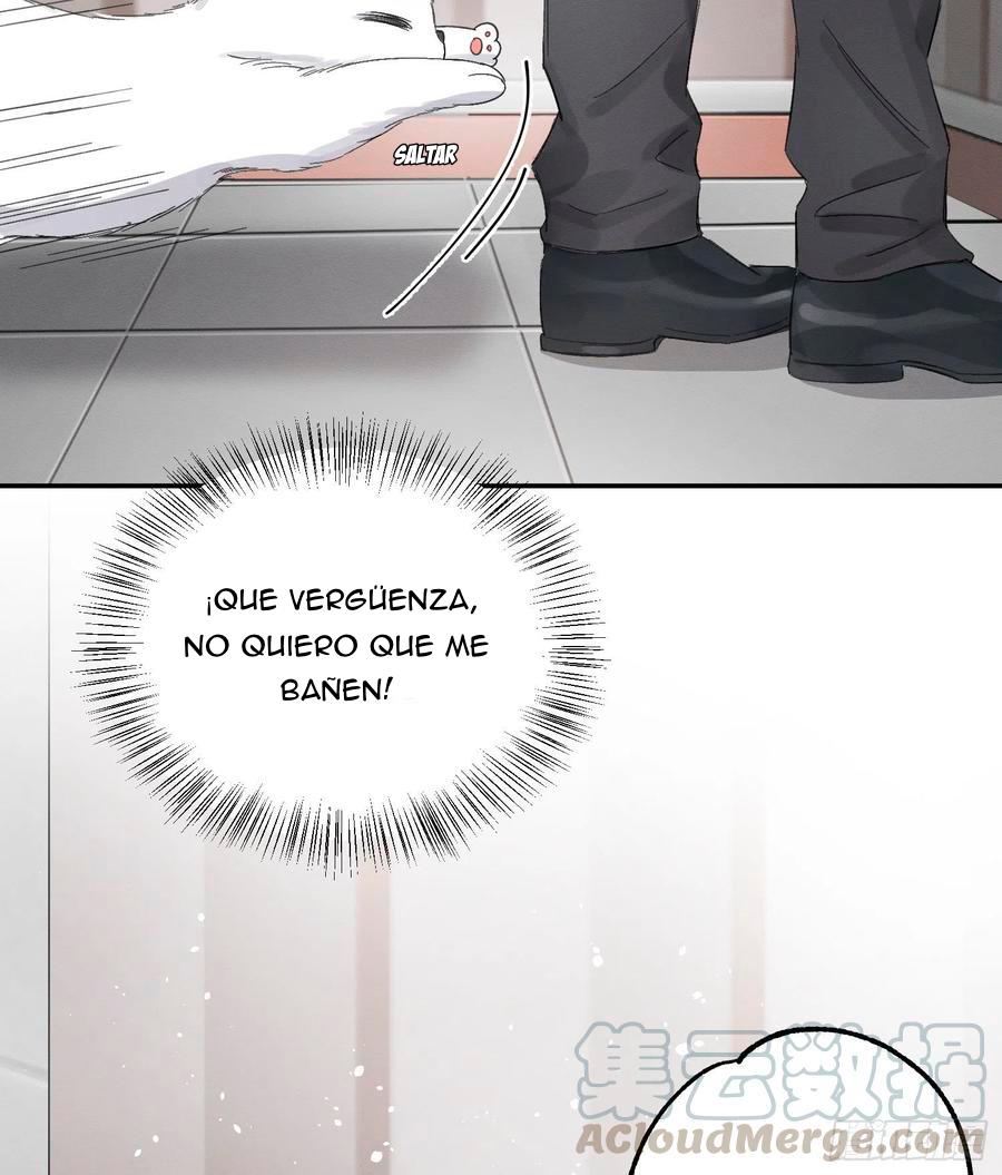 Tengo que trabajar duro para ser un gato hoy! - capitulo 8 manhwa