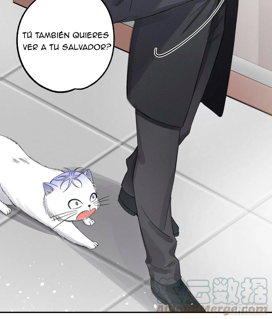 Tengo que trabajar duro para ser un gato hoy! - capitulo 8 manhwa