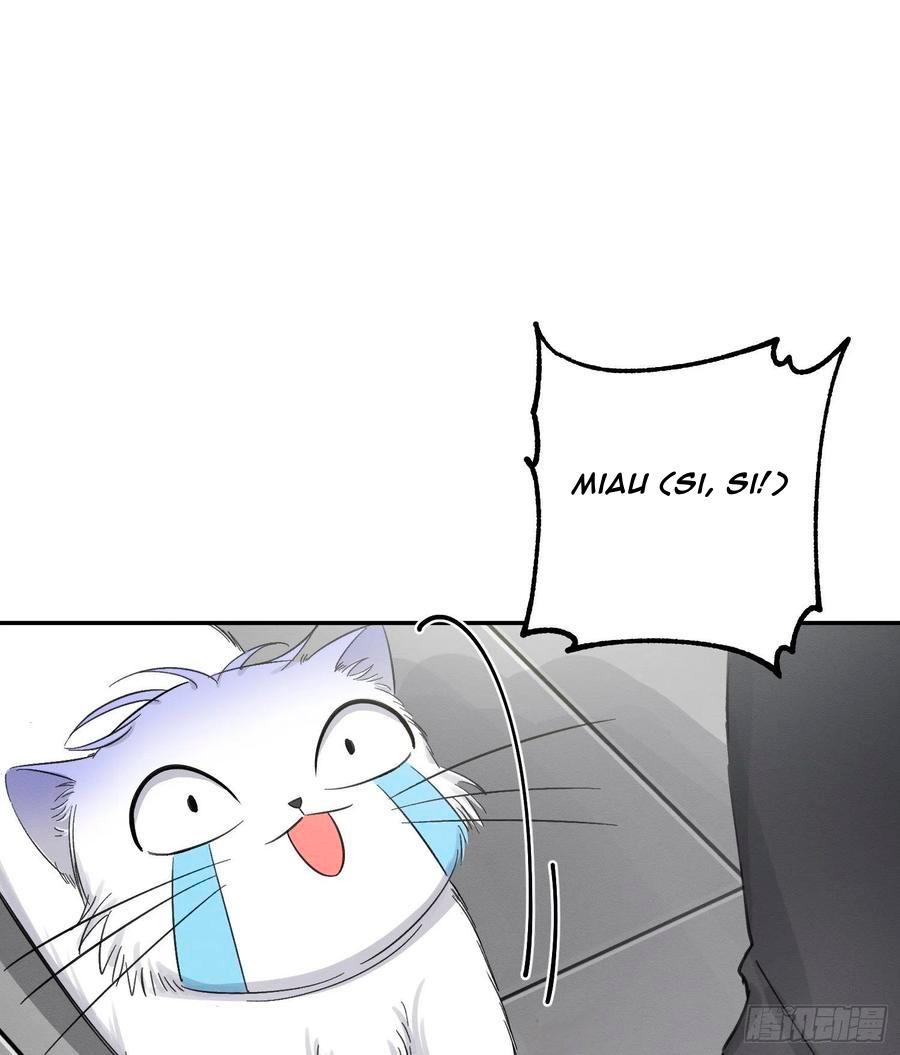 Tengo que trabajar duro para ser un gato hoy! - capitulo 8 manhwa