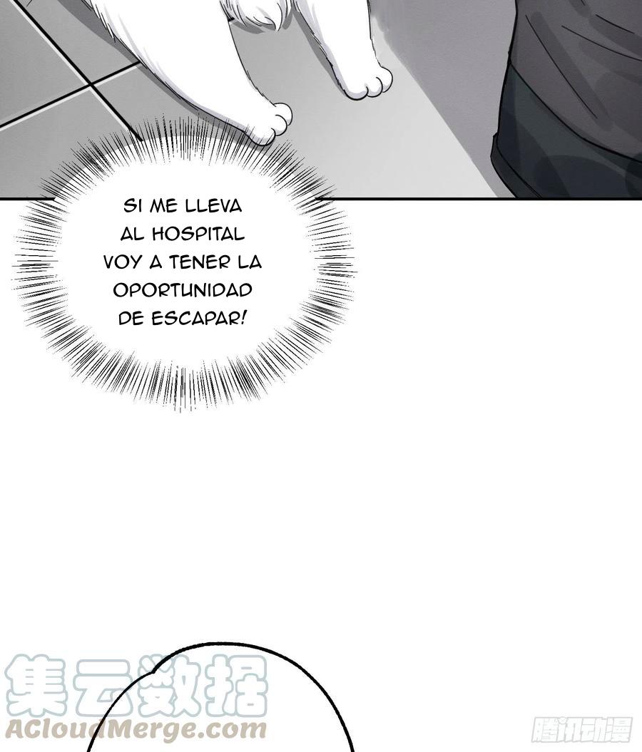 Tengo que trabajar duro para ser un gato hoy! - capitulo 8 manhwa