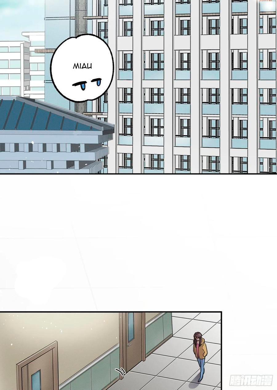 Tengo que trabajar duro para ser un gato hoy! - capitulo 8 manhwa