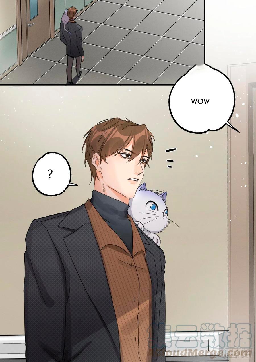Tengo que trabajar duro para ser un gato hoy! - capitulo 8 manhwa