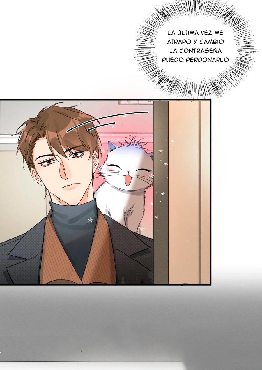 Tengo que trabajar duro para ser un gato hoy! - capitulo 8 manhwa