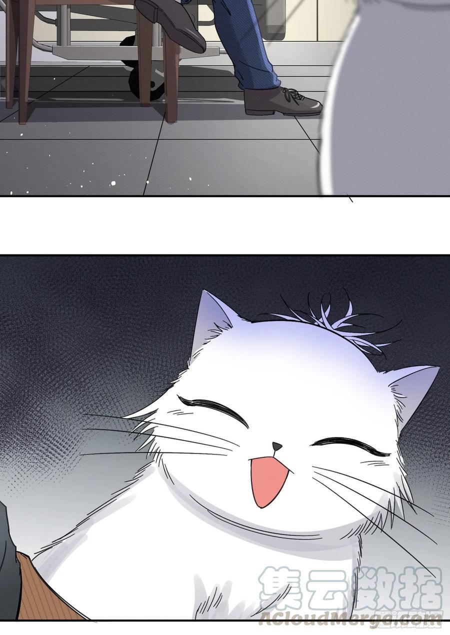 Tengo que trabajar duro para ser un gato hoy! - capitulo 8 manhwa