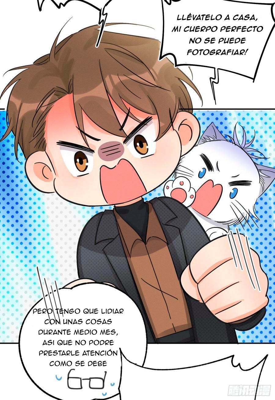 Tengo que trabajar duro para ser un gato hoy! - capitulo 8 manhwa