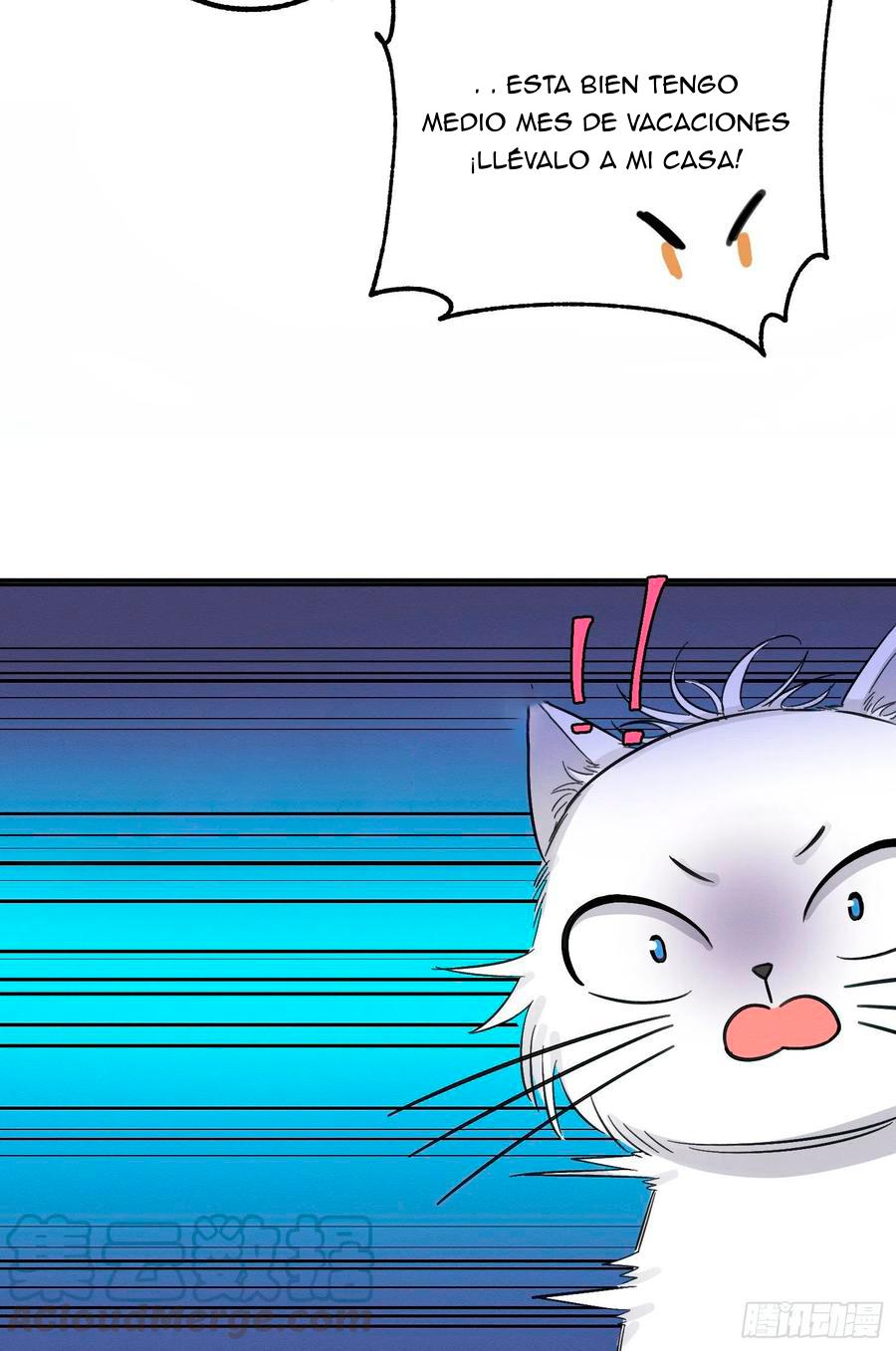 Tengo que trabajar duro para ser un gato hoy! - capitulo 8 manhwa