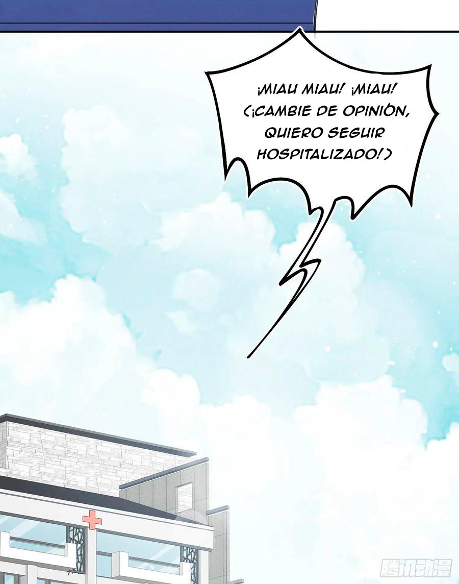Tengo que trabajar duro para ser un gato hoy! - capitulo 8 manhwa