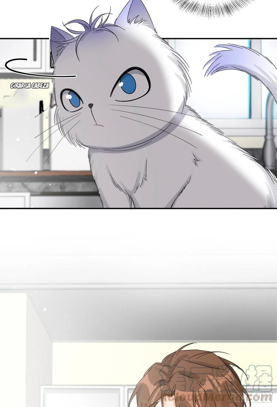 Tengo que trabajar duro para ser un gato hoy! - capitulo 8 manhwa