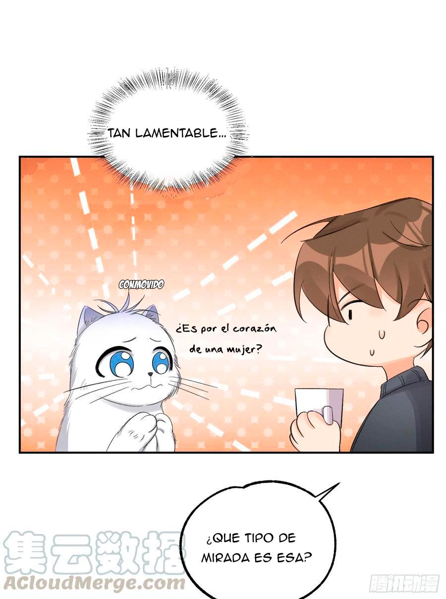 Tengo que trabajar duro para ser un gato hoy! - capitulo 8 manhwa