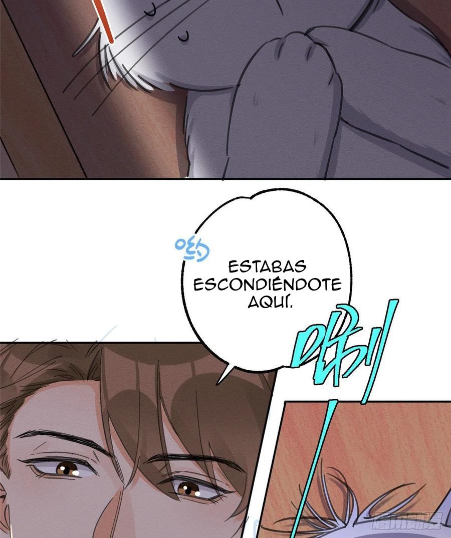 Tengo que trabajar duro para ser un gato hoy! - capitulo 11 manhwa