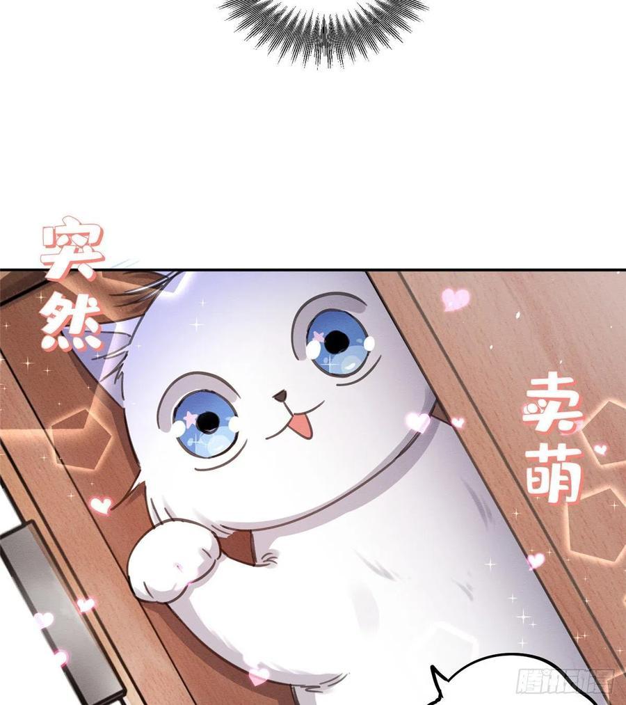 Tengo que trabajar duro para ser un gato hoy! - capitulo 11 manhwa