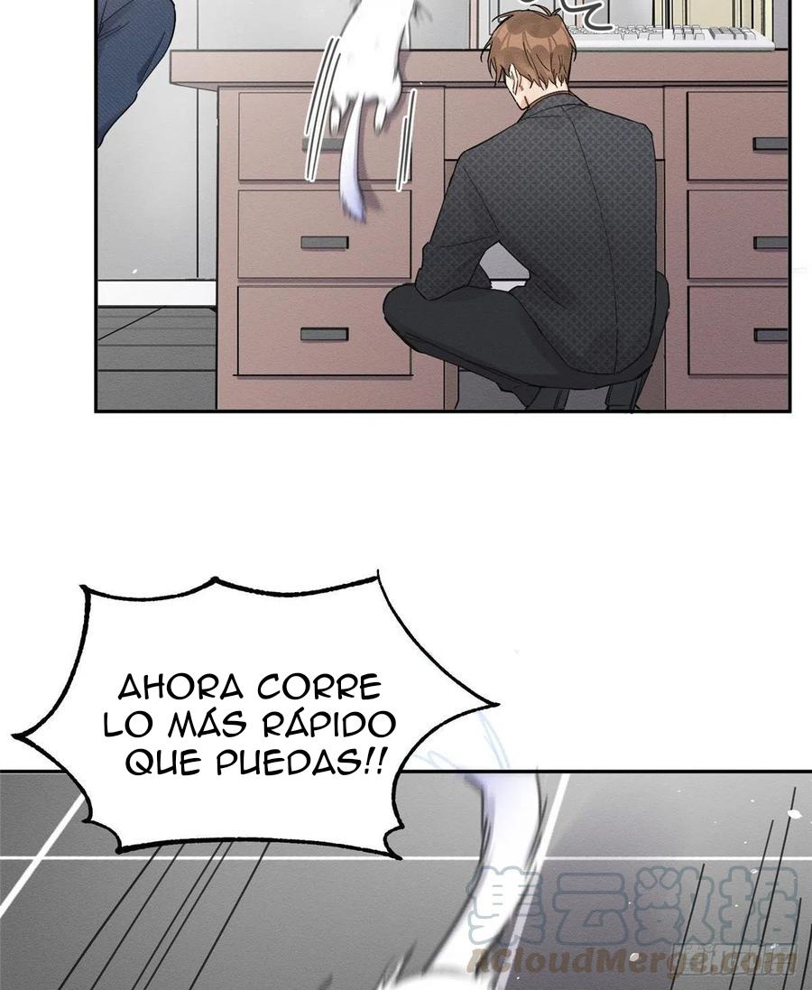 Tengo que trabajar duro para ser un gato hoy! - capitulo 11 manhwa
