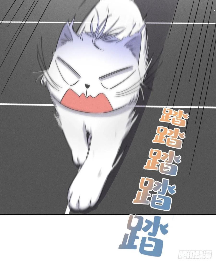 Tengo que trabajar duro para ser un gato hoy! - capitulo 11 manhwa
