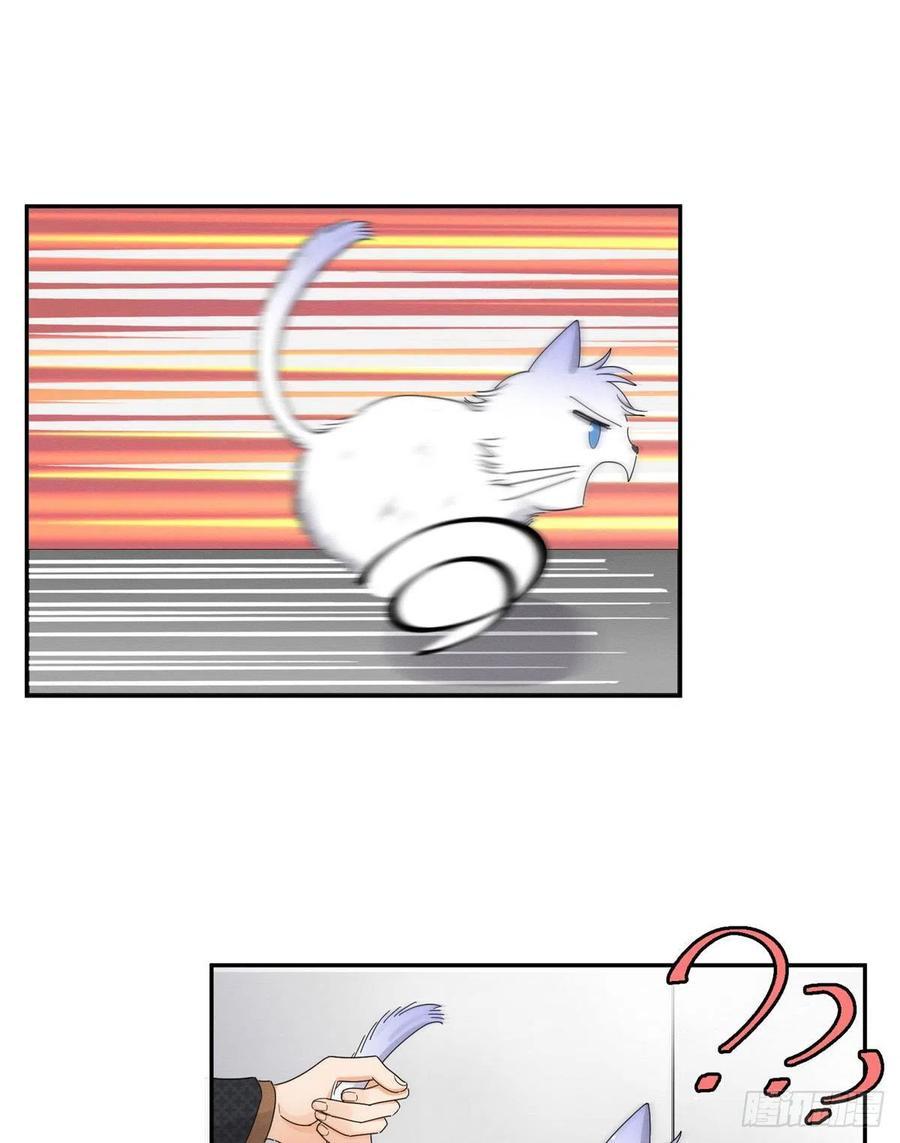 Tengo que trabajar duro para ser un gato hoy! - capitulo 11 manhwa