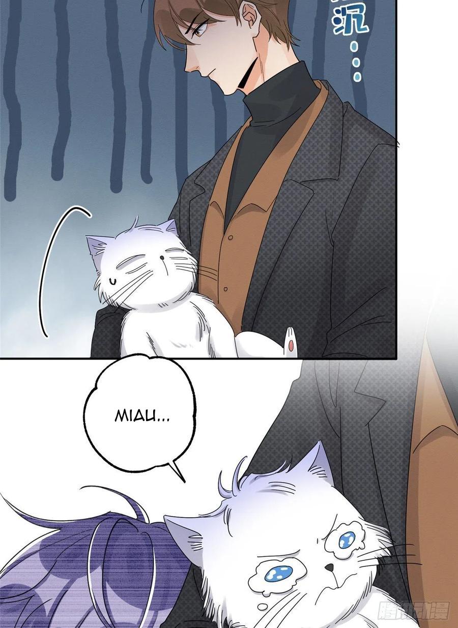 Tengo que trabajar duro para ser un gato hoy! - capitulo 11 manhwa