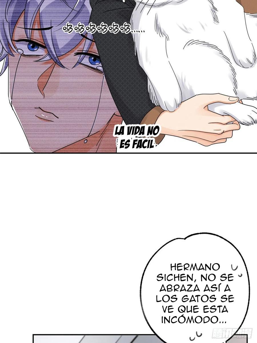 Tengo que trabajar duro para ser un gato hoy! - capitulo 11 manhwa