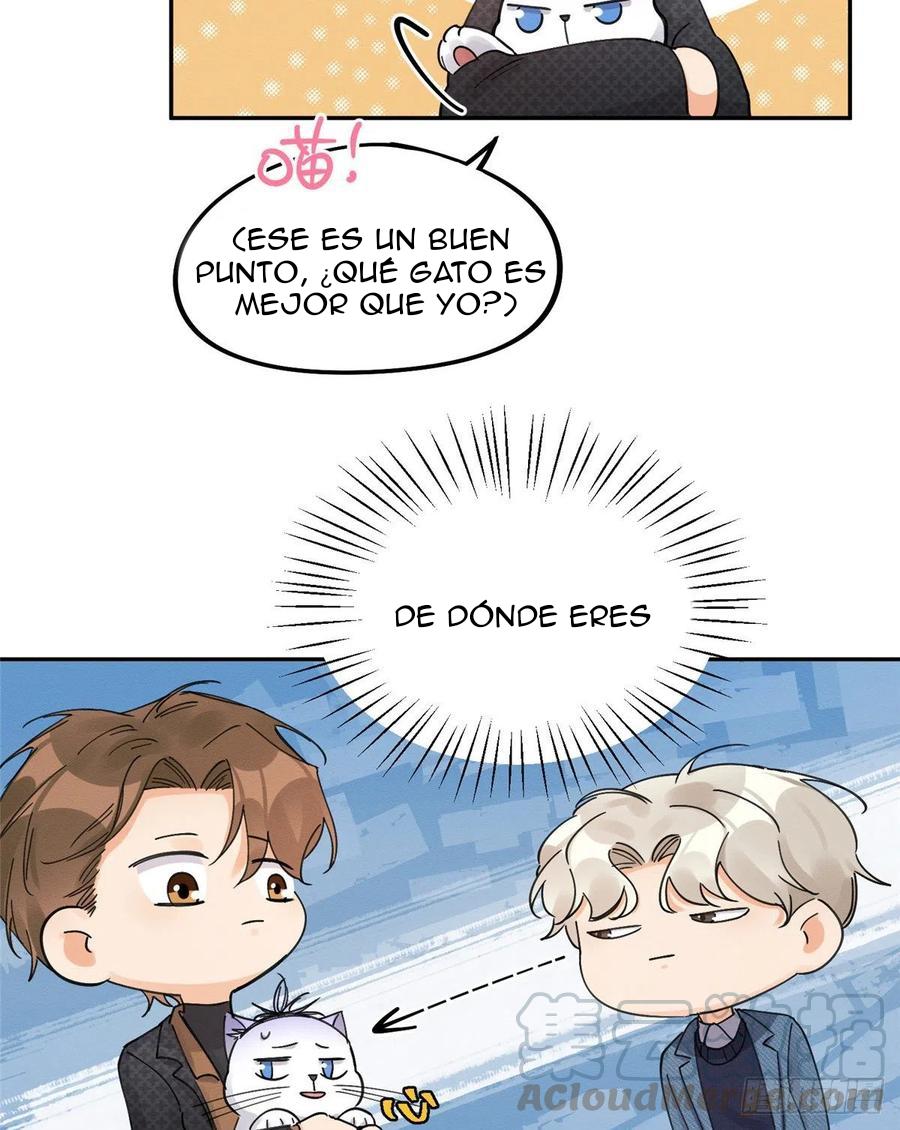 Tengo que trabajar duro para ser un gato hoy! - capitulo 11 manhwa