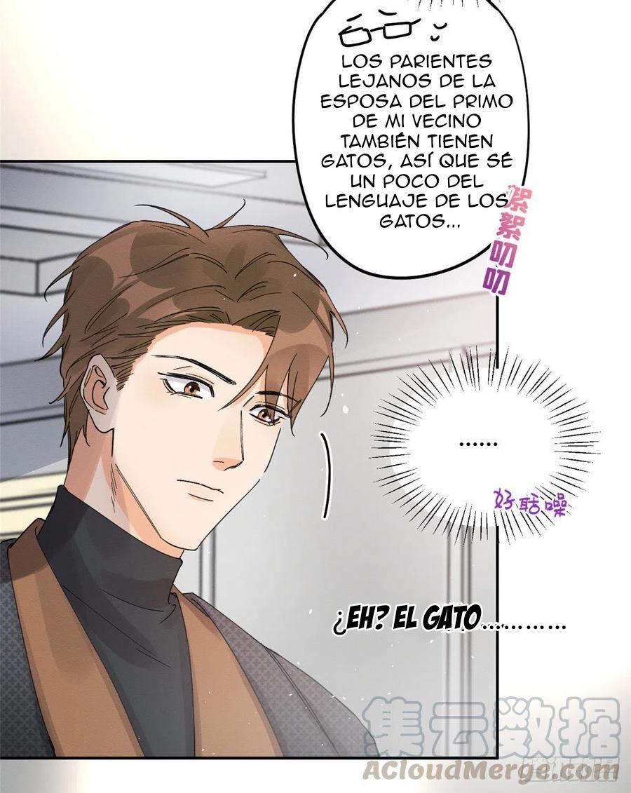 Tengo que trabajar duro para ser un gato hoy! - capitulo 11 manhwa