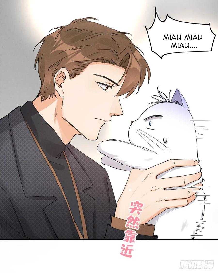 Tengo que trabajar duro para ser un gato hoy! - capitulo 11 manhwa