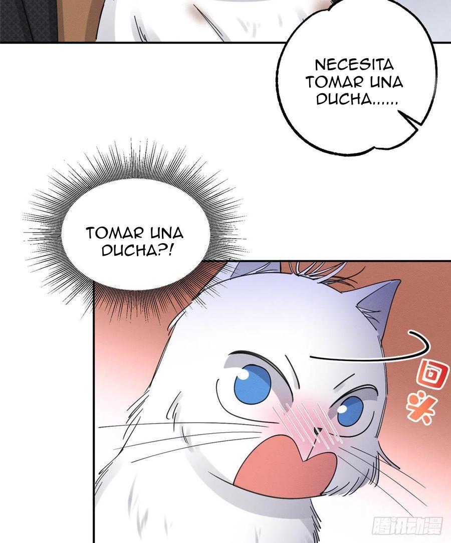 Tengo que trabajar duro para ser un gato hoy! - capitulo 11 manhwa
