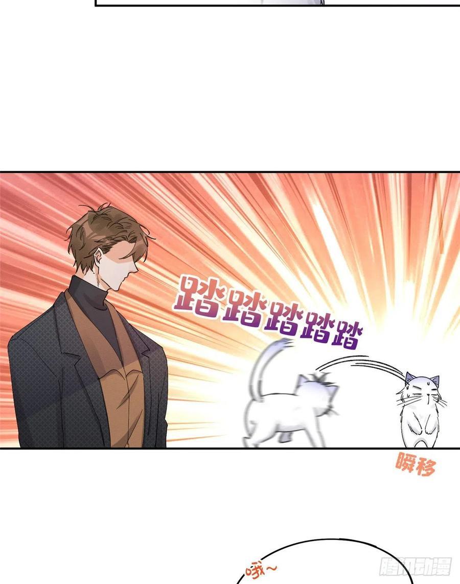 Tengo que trabajar duro para ser un gato hoy! - capitulo 11 manhwa