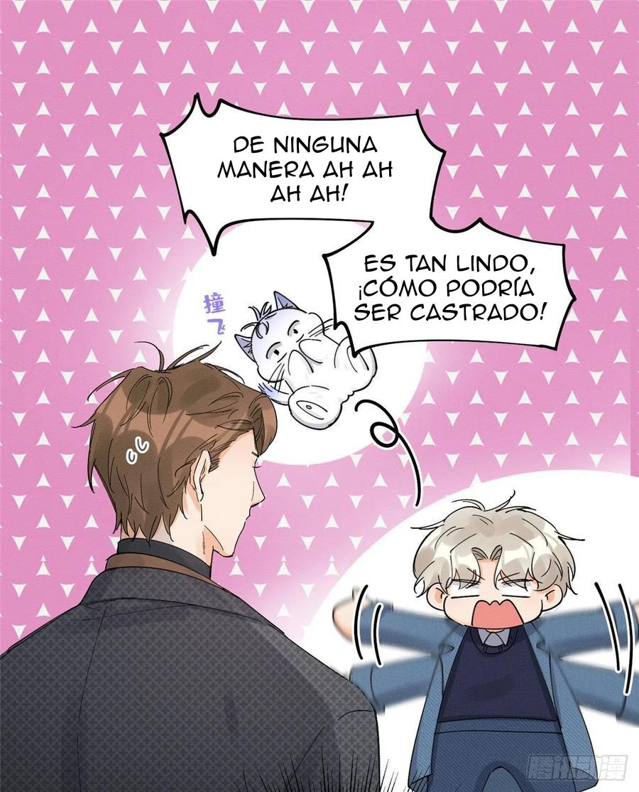 Tengo que trabajar duro para ser un gato hoy! - capitulo 11 manhwa