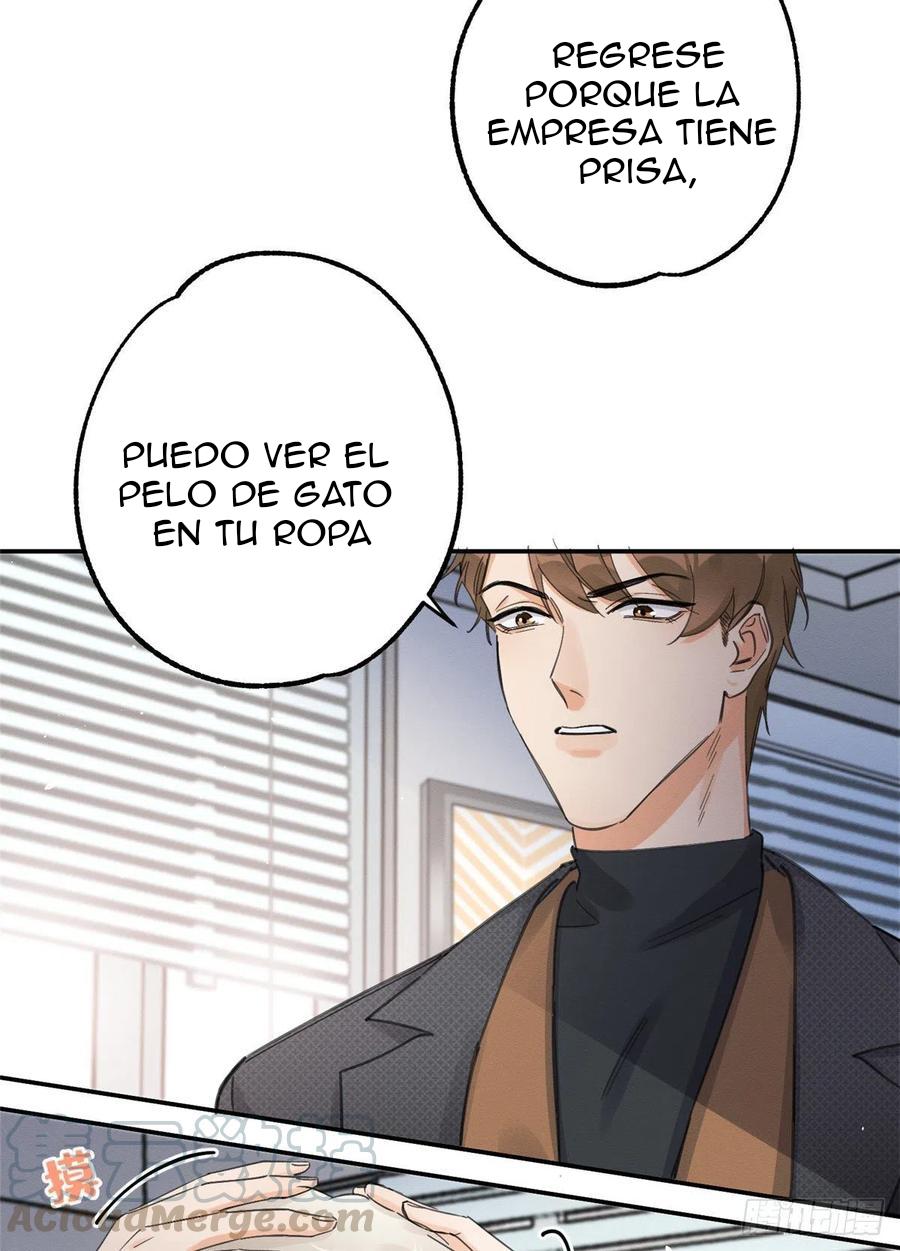 Tengo que trabajar duro para ser un gato hoy! - capitulo 11 manhwa