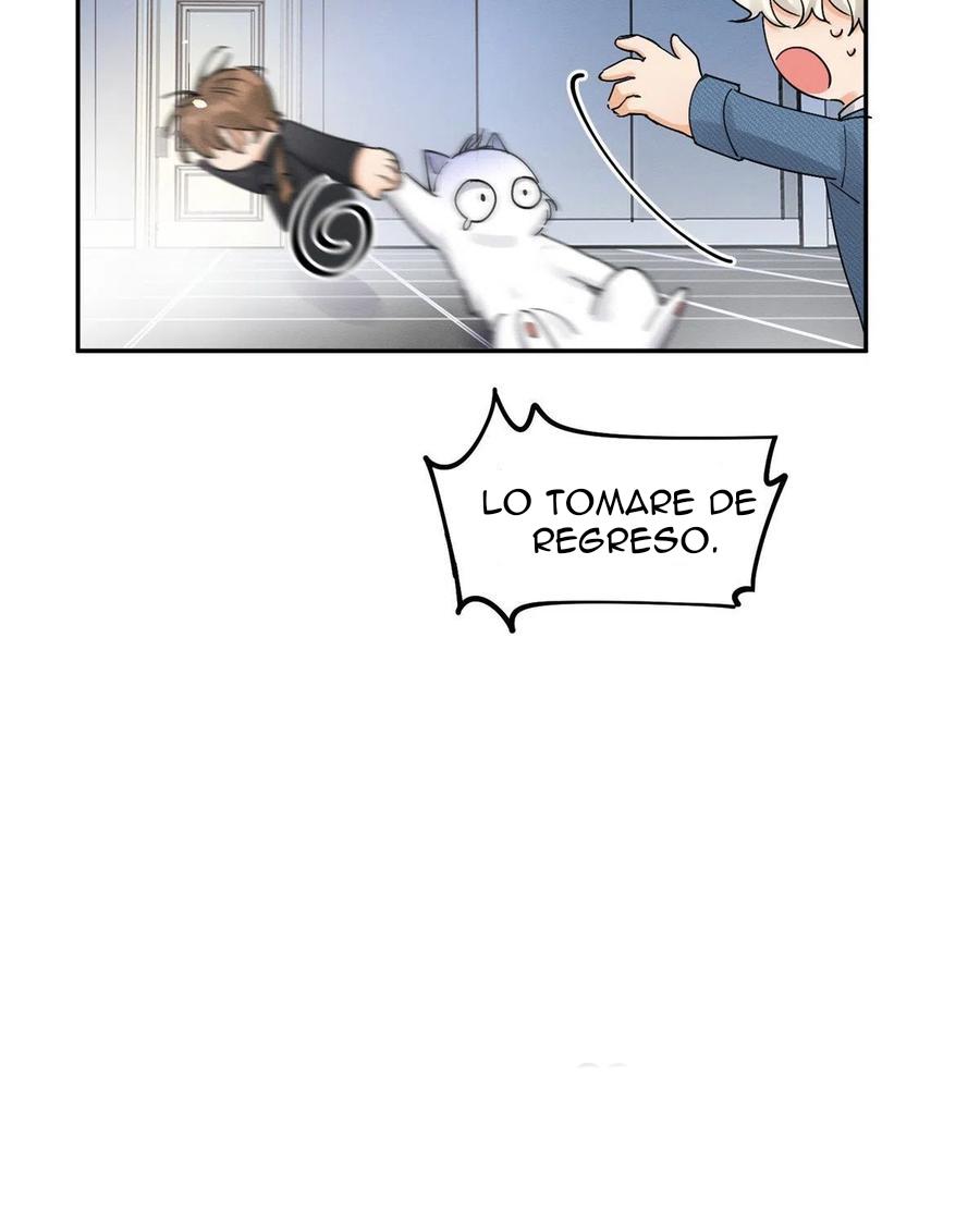 Tengo que trabajar duro para ser un gato hoy! - capitulo 11 manhwa