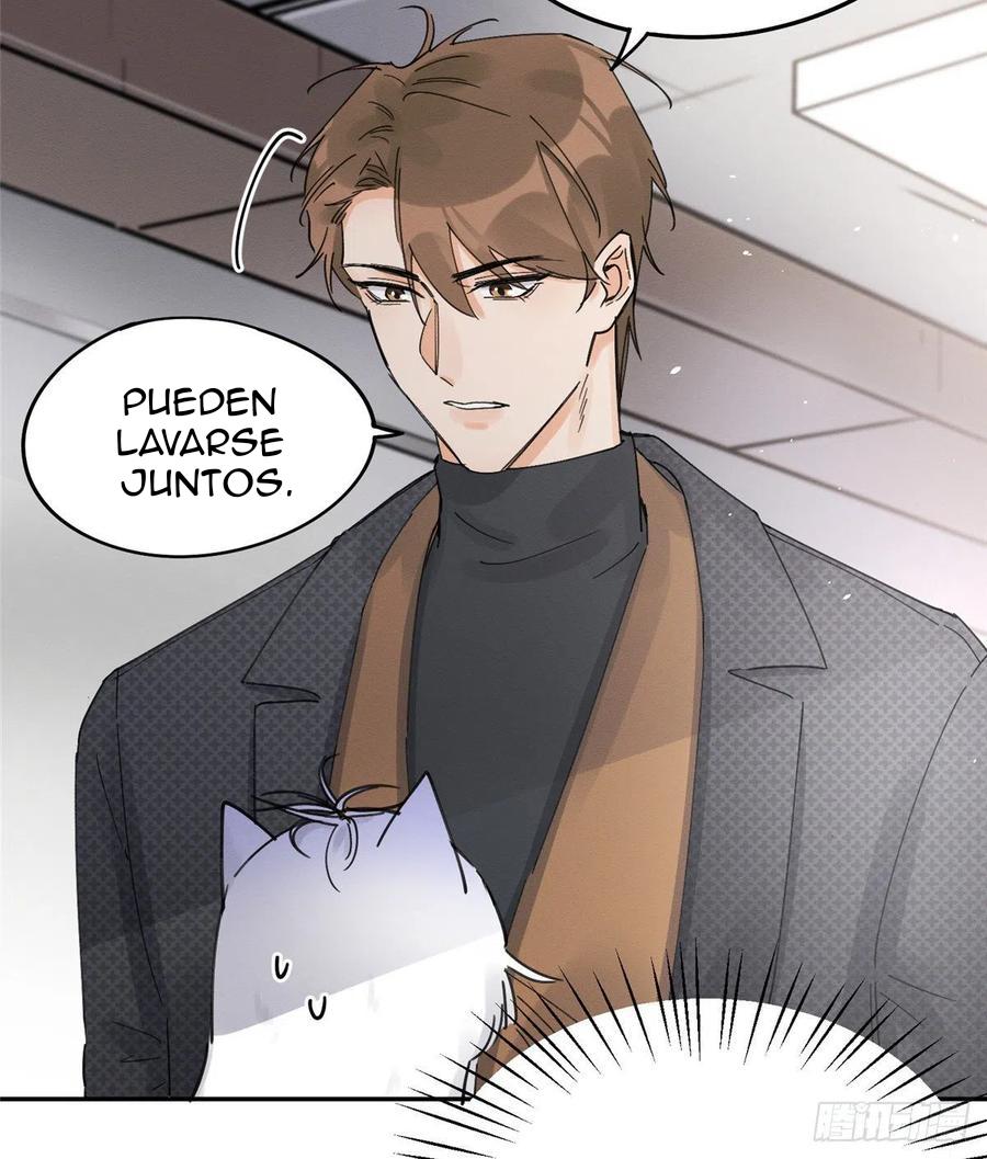 Tengo que trabajar duro para ser un gato hoy! - capitulo 11 manhwa