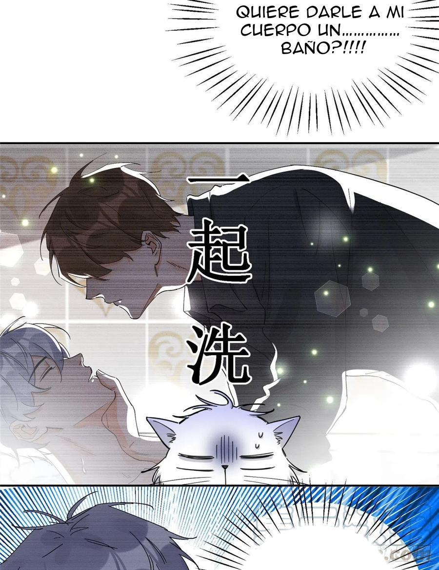 Tengo que trabajar duro para ser un gato hoy! - capitulo 11 manhwa