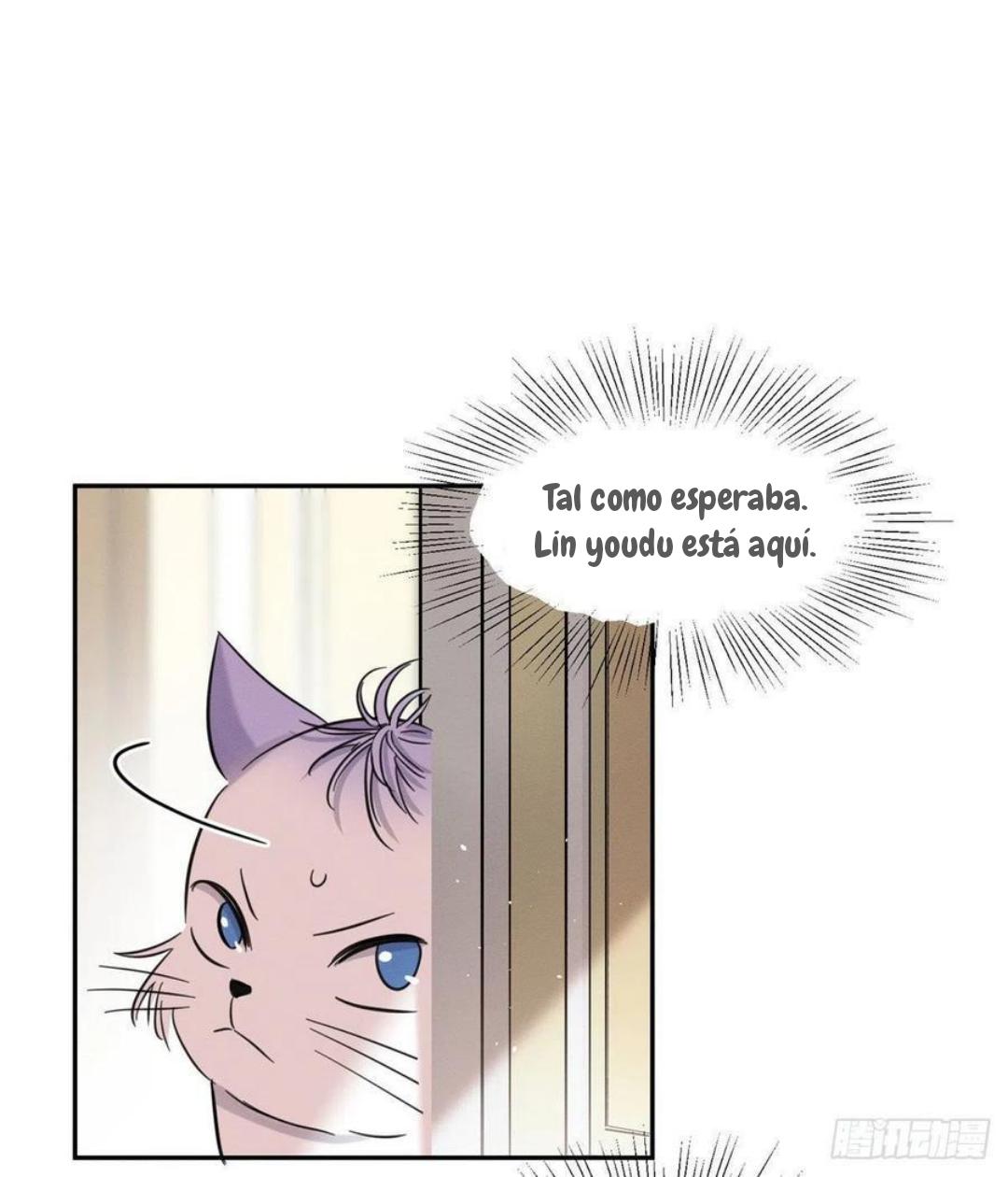 Tengo que trabajar duro para ser un gato hoy! - capitulo 47 manhwa