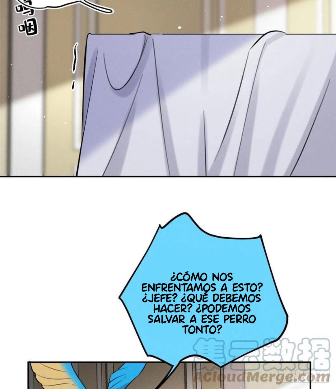 Tengo que trabajar duro para ser un gato hoy! - capitulo 47 manhwa