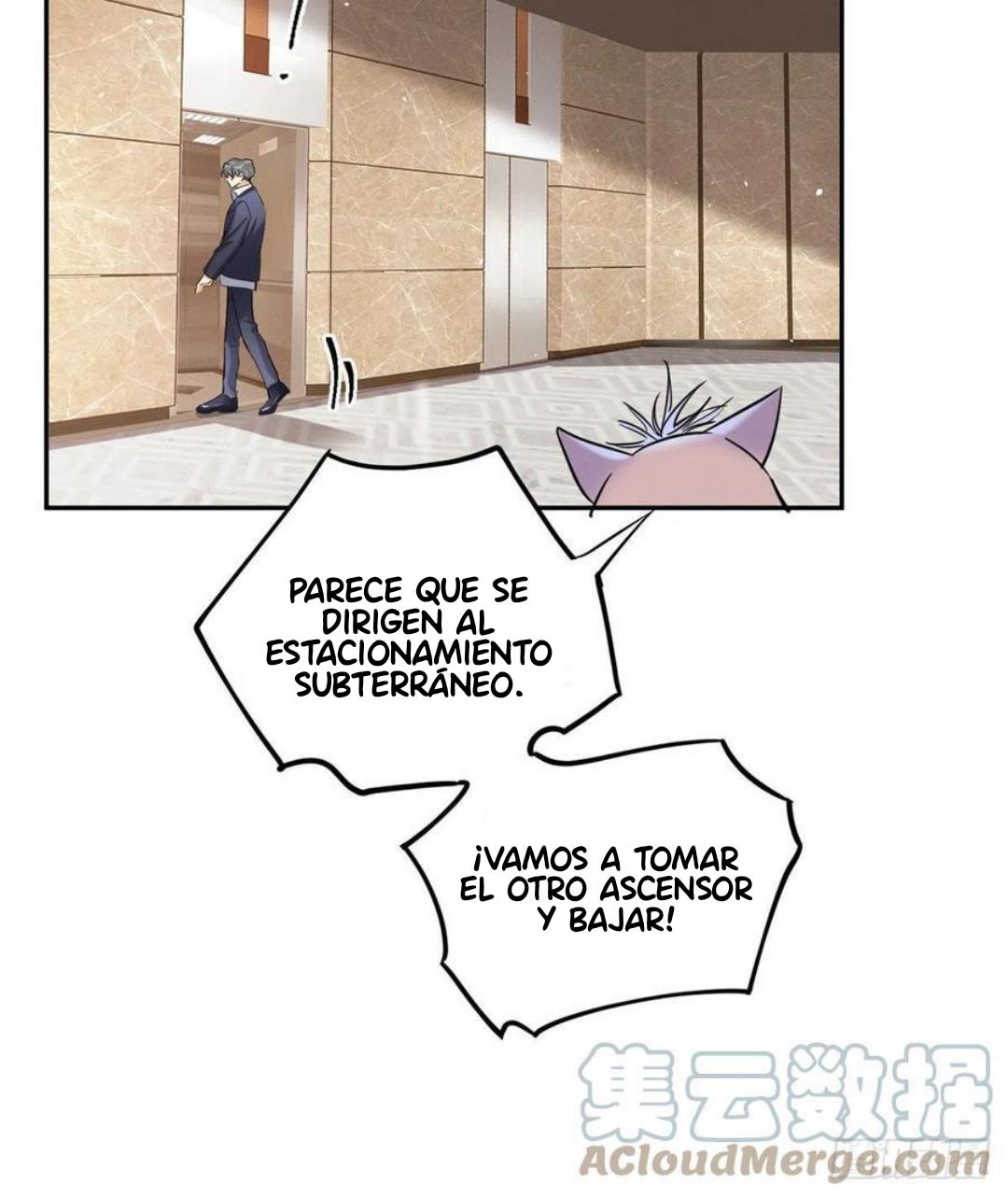Tengo que trabajar duro para ser un gato hoy! - capitulo 47 manhwa