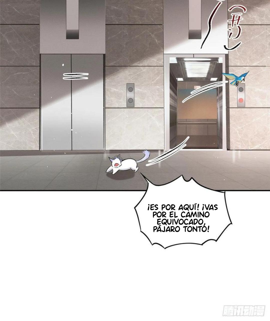 Tengo que trabajar duro para ser un gato hoy! - capitulo 47 manhwa