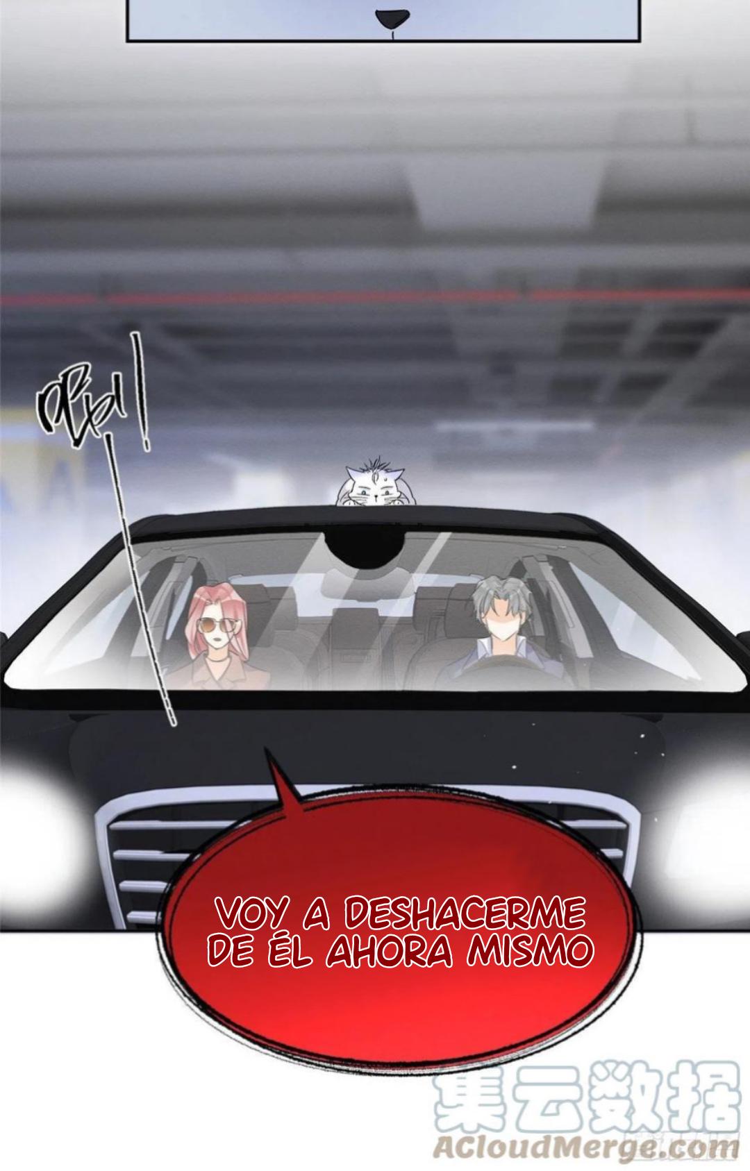 Tengo que trabajar duro para ser un gato hoy! - capitulo 47 manhwa