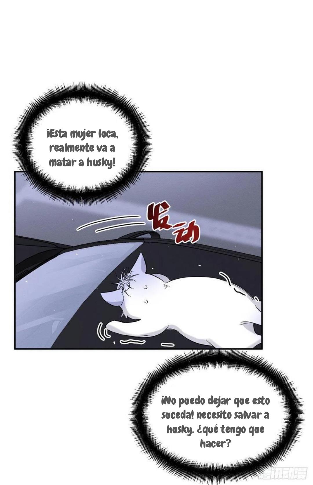 Tengo que trabajar duro para ser un gato hoy! - capitulo 47 manhwa