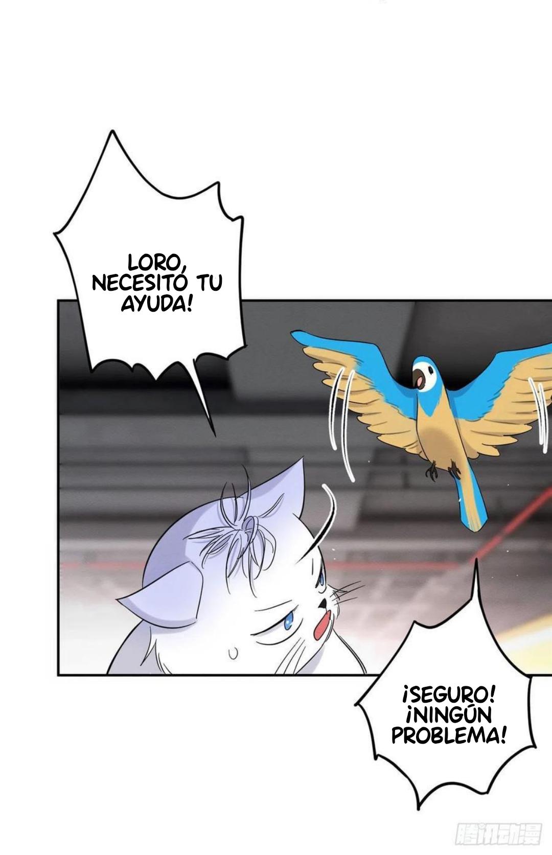 Tengo que trabajar duro para ser un gato hoy! - capitulo 47 manhwa